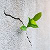 Using Emergence and Scaffolding to Address Complexity in Product Development
